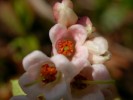 20050505 150948_1.jpg